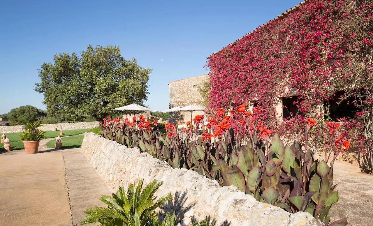 Hotel Son Cosmet كامبوس